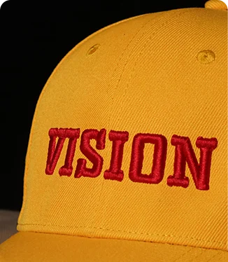 VISION-25