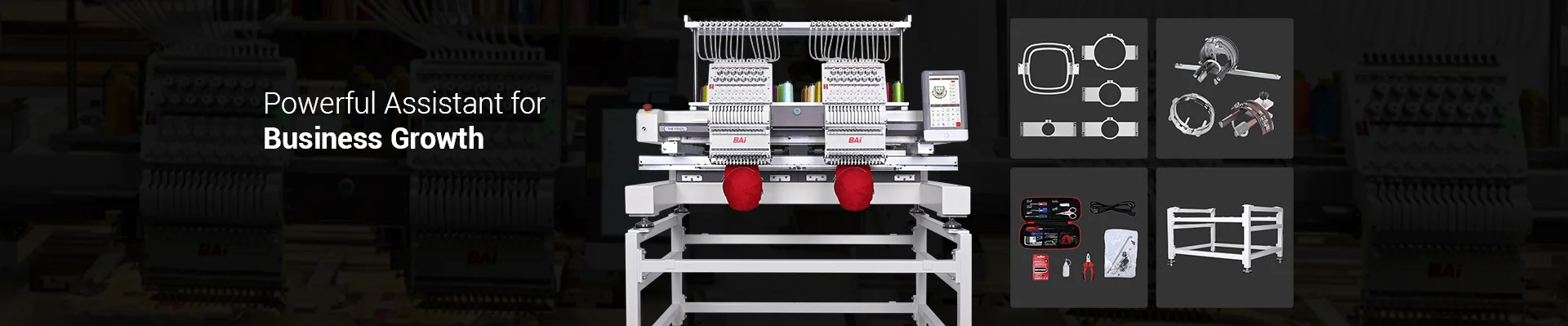 BAi THE VISION-2Heads is Powerful Assistant For Business Growth.